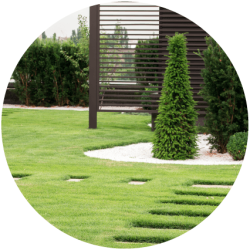 zakaj-izbrati-nas-01